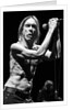Iggy Pop and The Stooges (1) by Karen Toftera